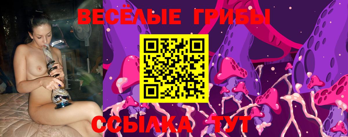 Галлюциногенные грибы прущие грибы Строитель